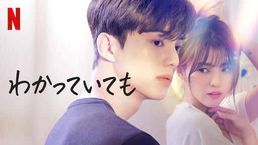 ZIPPO わかっていても 韓国 韓流 蝶 ライター Netflix